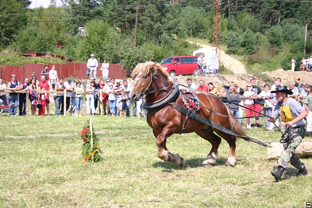 img00026.jpg
